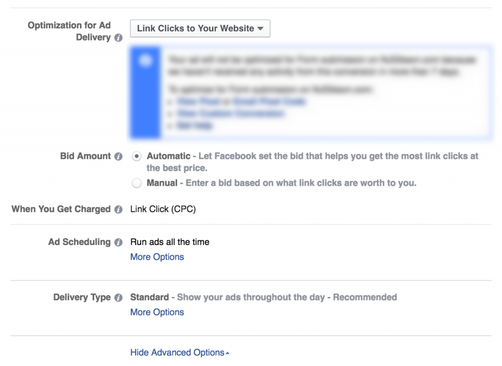 Delivery settings for FB Ads